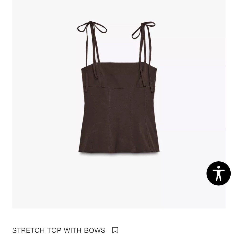 Zara large Brown Stretch Top